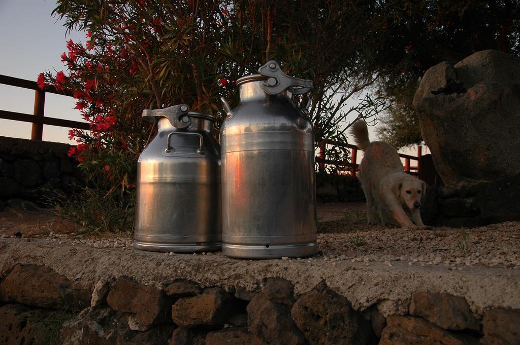 Agriturismo Codula Fuili Villa Cala Gonone Exterior foto