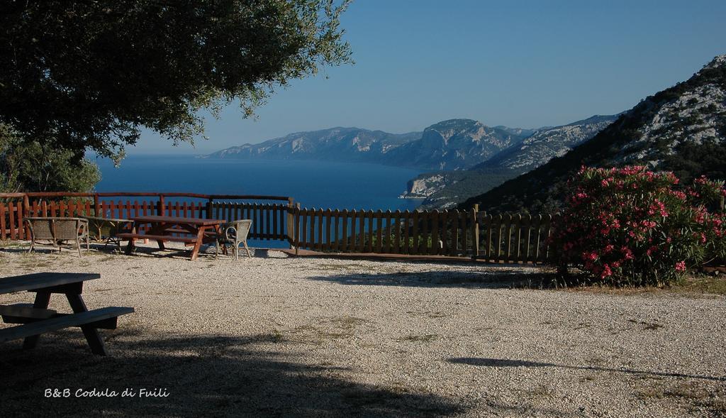 Agriturismo Codula Fuili Cala Gonone Habitación foto